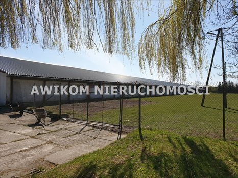 Lokal użytkowy na sprzedaż Teresin 6 975m2 Foto 3
