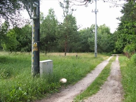 Działka rekreacyjna na sprzedaż Puste Łąki 1 000m2 Foto 3