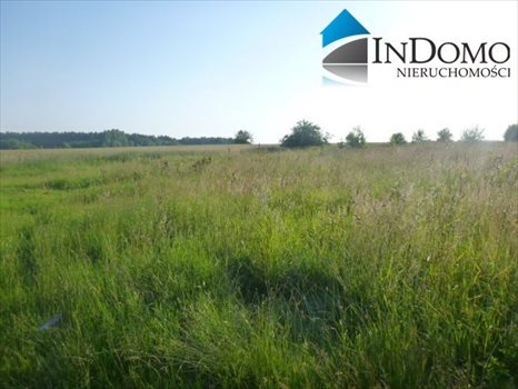 Działka budowlana na sprzedaż Truszczanek 6 100m2 Foto 1