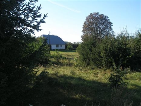 Dom na sprzedaż Płoty 100m2 Foto 1