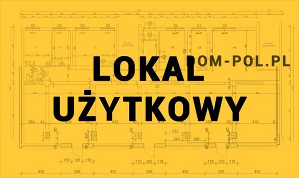 Lokal użytkowy na wynajem Łucka-Kolonia 200m2 Foto 1