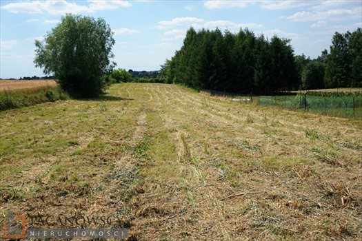 Działka budowlana na sprzedaż Sieborowice 2 600m2 Foto 8