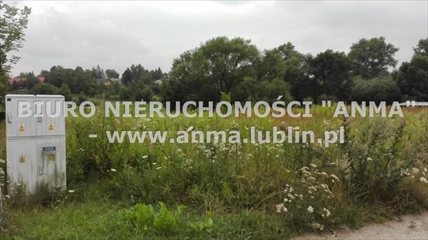 Działka budowlana na sprzedaż Lublin, Abramowice, Przepiórcza 2 904m2 Foto 4