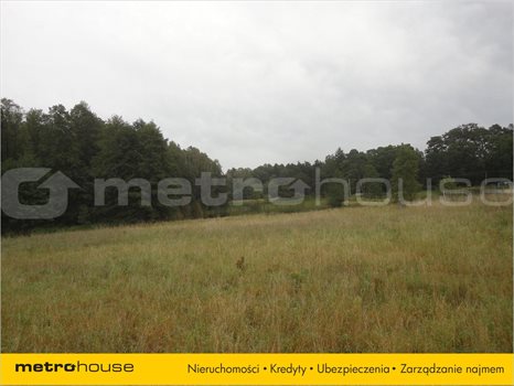 Działka siedliskowa na sprzedaż Luciny, Śrem 10 039m2 Foto 3