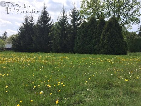 Działka budowlana na sprzedaż Czersk, Mostowa 9 760m2 Foto 3