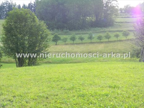 Działka inna na sprzedaż Szczawa 2 700m2 Foto 2