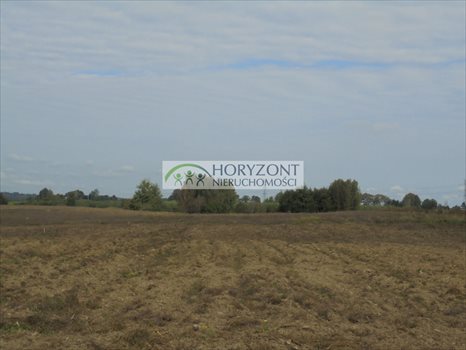 Działka budowlana na sprzedaż Małkowo 1 300m2 Foto 6