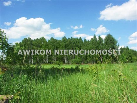 Działka inna na sprzedaż Skierniewice, Borowiny 9 000m2 Foto 4