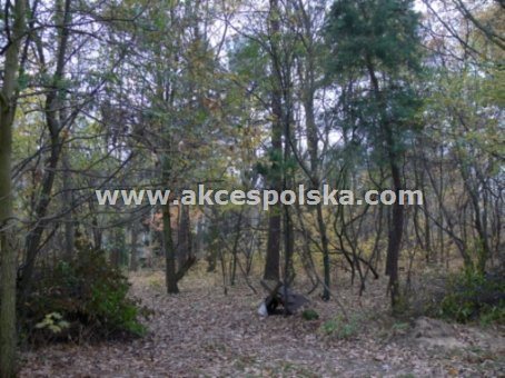 Działka budowlana na sprzedaż Żółwin 2 607m2 Foto 2