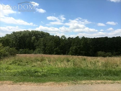 Działka budowlana na sprzedaż Kraków, Swoszowice, Golkowicka 5 000m2 Foto 4