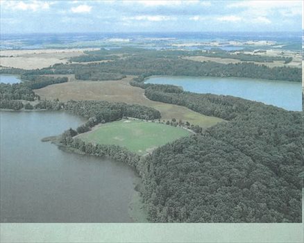 Działka komercyjna na sprzedaż Szestno 1 228 549m2 Foto 5