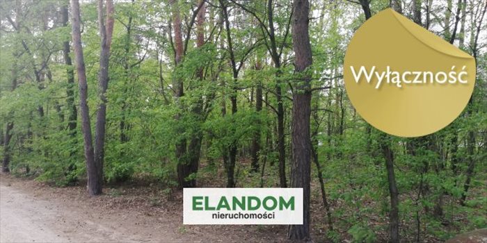 Działka budowlana na sprzedaż Józefów 2 274m2 Foto 3
