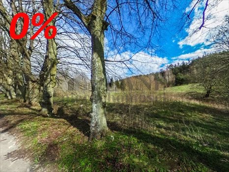 Działka inna na sprzedaż Świerkocin 1 064m2 Foto 8