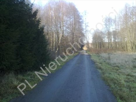 Działka rolna na sprzedaż Grzegorzewice 8 000m2 Foto 3