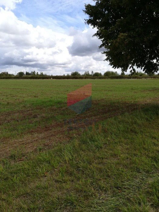 Działka inna na sprzedaż Zakrzewo 9 500m2 Foto 4