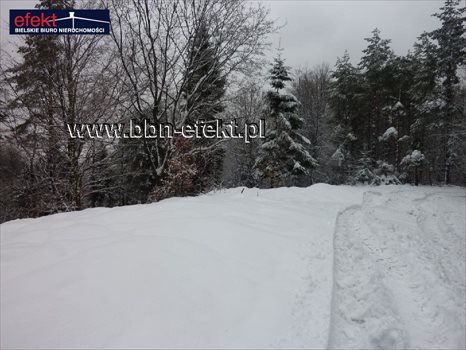 Działka rekreacyjna na sprzedaż Międzybrodzie Żywieckie 3 600m2 Foto 8