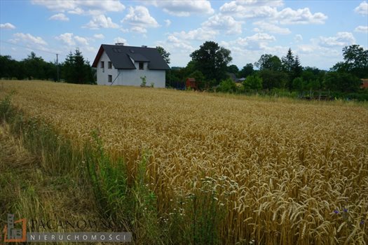 Działka budowlana na sprzedaż Bębło 2 900m2 Foto 6