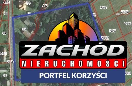 Działka budowlana na sprzedaż Przytok 22 600m2 Foto 8