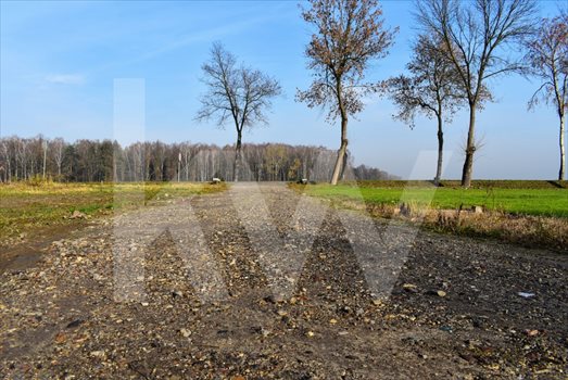 Działka budowlana na sprzedaż Żernica 21 000m2 Foto 2