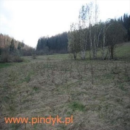 Działka budowlana na sprzedaż polska, Jelenia Góra Okolice, Zachełmie 1 800m2 Foto 3
