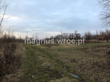 Działka budowlana na sprzedaż Siechnice 2 772m2 Foto 2
