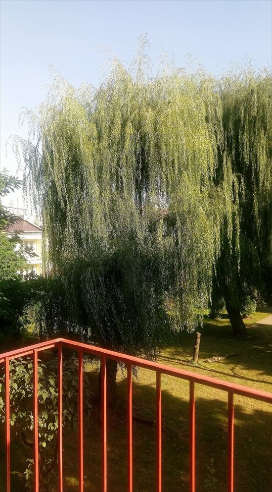 Mieszkanie dwupokojowe na wynajem Warszawa, Praga Południe, Grochowska 52 52m2 Foto 1