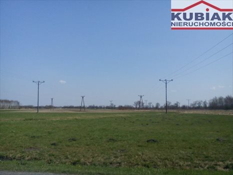 Działka rolna na sprzedaż Mokre 13 000m2 Foto 3