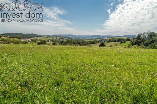 Działka budowlana na sprzedaż Bystra 6 000m2 Foto 5