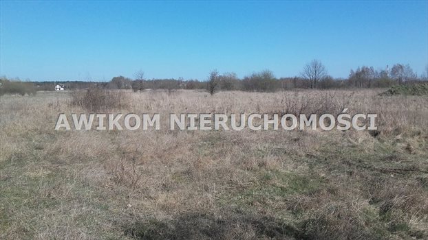 Działka budowlana na sprzedaż Skierniewice, Starbacicha 1 700m2 Foto 1