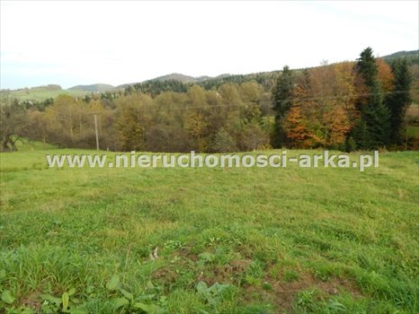 Działka budowlana na sprzedaż Kasina Wielka 1 500m2 Foto 2