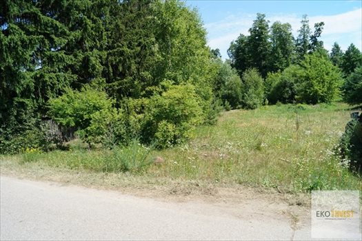 Działka budowlana na sprzedaż Winnica 2 300m2 Foto 3