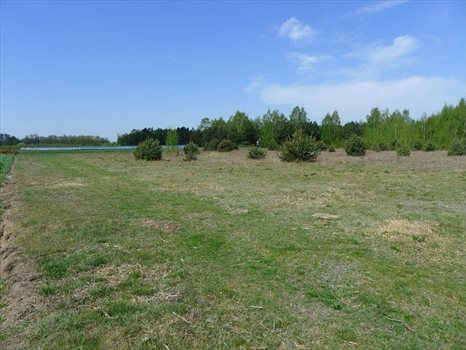 Działka inna na sprzedaż Wypychów 3 292m2 Foto 3