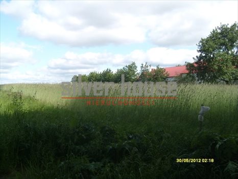 Działka budowlana na sprzedaż Rybienko Nowe 2 000m2 Foto 2