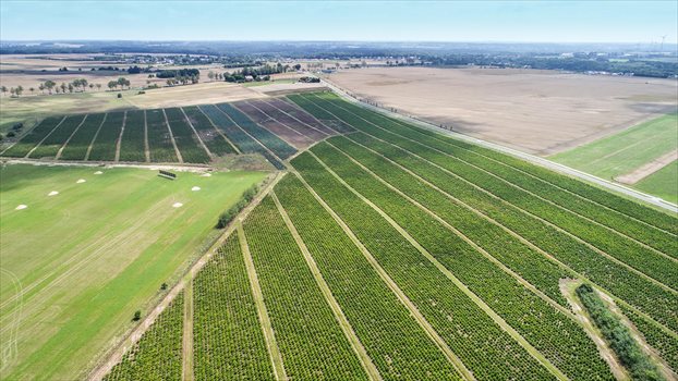 Działka budowlana na sprzedaż Strzelinko, Orzechowa 1 082m2 Foto 4
