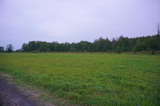 Działka budowlana na sprzedaż Jaktorów 1 258m2 Foto 9