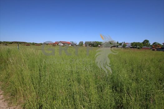 Działka budowlana na sprzedaż Kobylnica 1 201m2 Foto 5