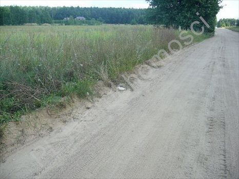 Działka rolna na sprzedaż Grzegorzewice 17 200m2 Foto 3