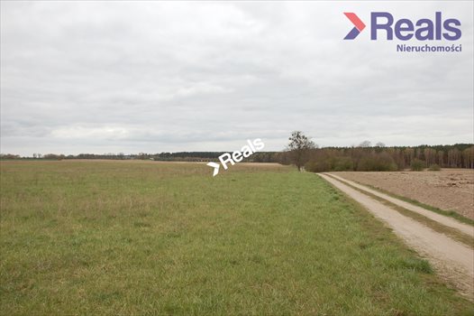 Działka rolna na sprzedaż Drzonowo Wałeckie 280 000m2 Foto 6
