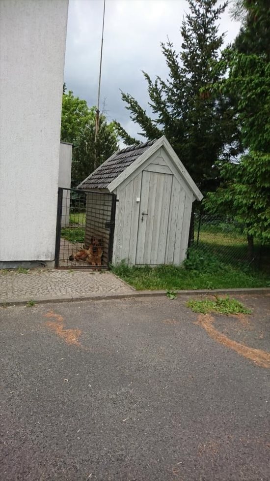 Działka komercyjna na sprzedaż Borek Strzeliński 67 600m2 Foto 10