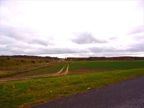 Lokal użytkowy na sprzedaż Golnice 200 000m2 Foto 3