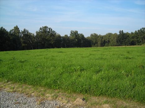 Działka inna na sprzedaż Masłomiąca 1 500m2 Foto 1