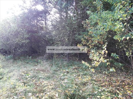 Działka budowlana na sprzedaż Bydgoszcz, Smukała Górna 1 101m2 Foto 4