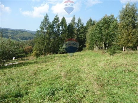 Działka budowlana na sprzedaż Rabka-Zdrój 5 650m2 Foto 11