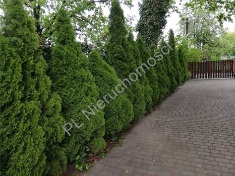 Dom na sprzedaż Ożarów Mazowiecki 210m2 Foto 9