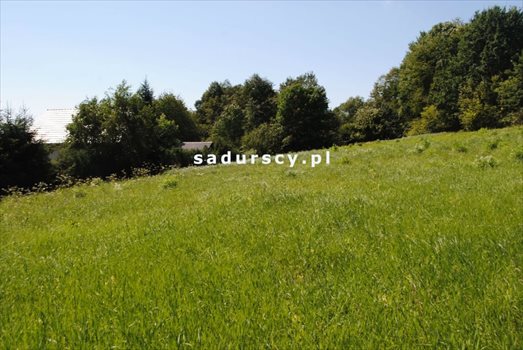 Działka budowlana na sprzedaż Mogilany, Leszczynowa 1 000m2 Foto 2