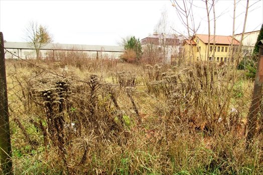Działka budowlana na sprzedaż Ełk, Północ I 926m2 Foto 5