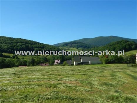 Działka budowlana na sprzedaż Skrzydlna 1 450m2 Foto 1