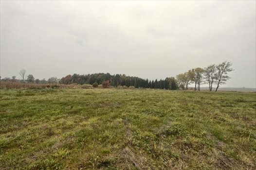Działka budowlana na sprzedaż Łukęcin 1 104m2 Foto 5