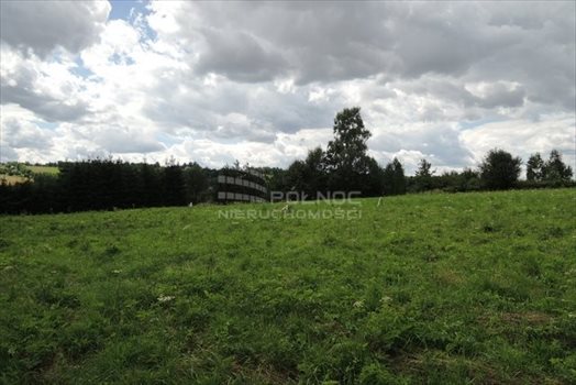 Działka budowlana na sprzedaż Włosań, Spacerowa 1 200m2 Foto 2