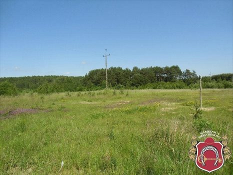 Działka komercyjna na sprzedaż Zakrzewo 14 600m2 Foto 6
